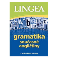 Gramatika současné angličtiny s praktickými příklady