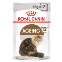 ROYAL CANIN AGEING 12+ v omáčce pro starší kočky 48 × 85 g