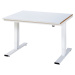 RAU Psací stůl s elektrickým přestavováním výšky, ocelový povlak, nosnost 300 kg, š x h 1250 x 1