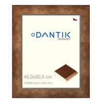 DANTIK rámeček 40 × 50, TOMAS bronz velký plexi čiré