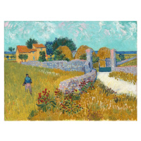 Obrazová reprodukce Farmouse in Provence (1888), Vincent van Gogh, 40 × 30 cm