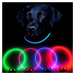Reedog Full Light USB dobíjecí svítící obojek pro psy a kočky - zelená  L