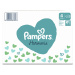 Pampers Box vel. 4 9–14 kg dětské pleny 174 ks