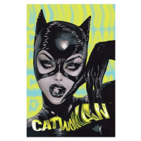 Umělecký tisk Batman - Catwoman, 26.7 × 40 cm