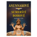 Anunnakové - sumerští bohové - Heather Lynn