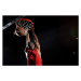 Fotografie Man dunking basketball, Matt Henry Gunther, 40 × 26.7 cm