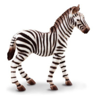 COLLECTA Zebra hříbě