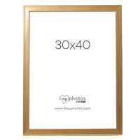 Focus Pop Gold 30 × 40