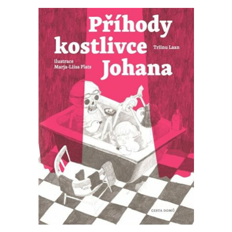 Příběhy kostlivce Johana - Triinu Laan Cesta domů