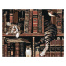 Zuty Diamantové malování Kočka v knihovně