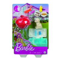 Barbie mini herní set s mazlíčkem - stolní fotbálek GRG77