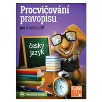 Procvičování pravopisu pro 3. ročník - Mgr. Zdena Effová
