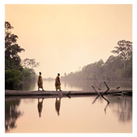 Fotografie Buddhist Monks walking along submerged tree, Martin Puddy, (40 x 40 cm)
