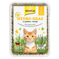 Kočičí tráva Gimpet Hy-Gras 150 g - 150 g