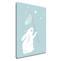 Impresi Obraz Little bunny - 30 x 40 cm