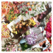 Chronicle Books Kytice z květinové farmy 100 ks pohlednic