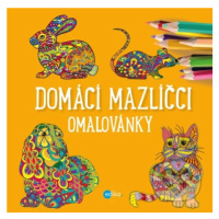 Domácí mazlíčci (omalovánky) - Yulia Mamonova - kniha z kategorie Pro děti