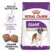 Royal Canin Giant Adult - granule pro dospělé obří psy 15 kg