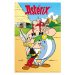 Plakát, Obraz - Asterix and Obelix, (61 x 91.5 cm)