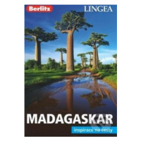 Madagaskar - kniha z kategorie Pro děti