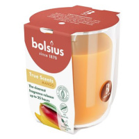 BOLSIUS Mango 25 h