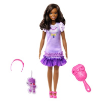 Mattel barbie® moje první barbie brooklyn, hll20