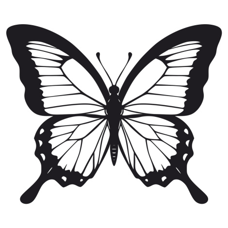 Vsepropejska Motýl dekorace na zeď 5 Rozměr (cm): 38 x 32, Dekor: Černá