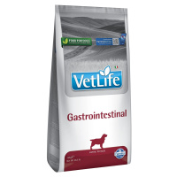 Farmina Vet Life Dog Gastrointestinal 12 kg