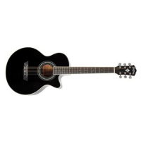 WASHBURN EA10B-A-U