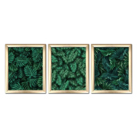 Wallity Sada obrazů Blade 3 ks 23,5x28,5 cm zelená