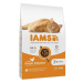 IAMS Cat Senior Chicken 10 kg