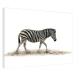 Obraz na plátně Mario Moreno - The Zebra, (80 x 60 cm)