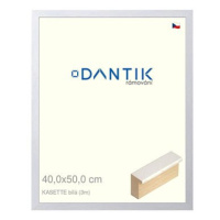 DANTIK rámeček 40 × 50, KASSETTE bílý sklo čiré