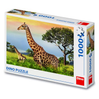 Puzzle 1000 dílků Žirafí rodina
