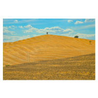 Fotografie Val d'Orcia, Tuscany, Italy, by Andrea Pucci, 40 × 26.7 cm