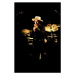 Fotografie Bob Dylan in concert in UK, 2010, (26.7 x 40 cm)