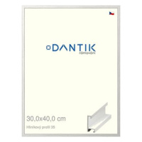 DANTIK rámeček 30 × 40, ALU profil 6035 Dýha bílý plexi čiré