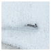 Ayyildiz koberce Kusový koberec Sydney Shaggy 3000 white kruh - 160x160 (průměr) kruh cm