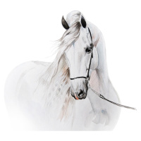 Krásná nálepka na stenus motivem bílého koně