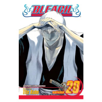 Bleach 20 - Tite Kub - kniha z kategorie Komiksy