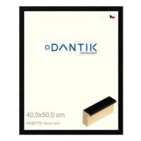 DANTIK rámeček 40 × 50, KASSETTE černý plexi čiré