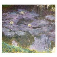 Obrazová reprodukce Lekníny, Claude Monet, 40 × 35 cm