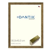 DANTIK rámeček 30 × 40, DUNE zlatý plexi čiré