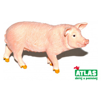 Atlas B Prase 9 cm