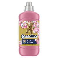 Coccolino Aviváž Perfume&Care Honeysuckle 1275 ml