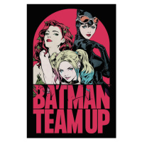 Umělecký tisk Batman - Team Up, 26.7 × 40 cm