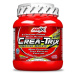 AMIX Crea-Trix, Fruit Punch 824 g