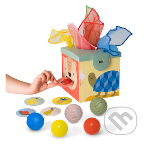 Magic box - hra z kategorie Vzdelávacie hry Taf Toys