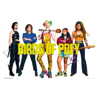 Plakát Birds Of Prey - Group (84)