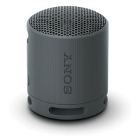 Sony SRS-XB100 černá
